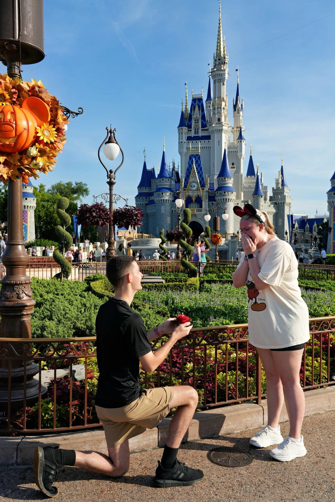 An Engagement Story
